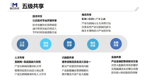 元生态 产业互联网的新范式与网络技术咨询的变革之路