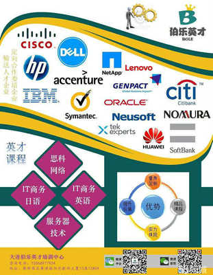 大连昌国商务咨询 专业网络技术咨询助力企业数字化转型